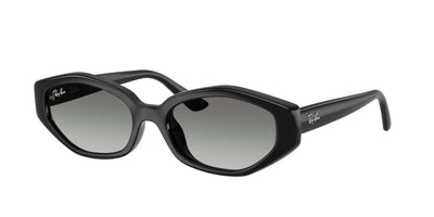 Ray-Ban RB4473D Sunglasses