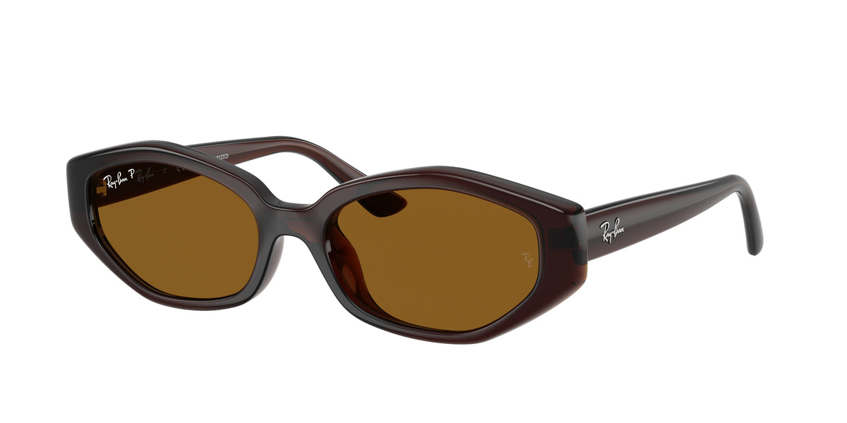 Ray-Ban RB4473D Dark Brown Sunglasses