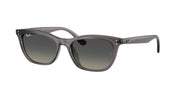 Ray-Ban RB4474D Transparent Dark Grey Sunglasses