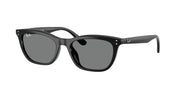 Ray-Ban RB4474D Black Sunglasses