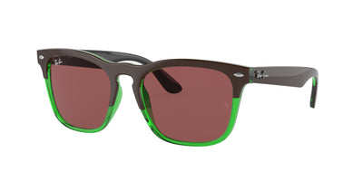 Ray-Ban RB4487 Sunglasses
