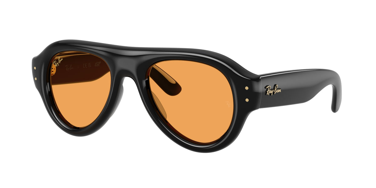 Ray-Ban RB4925 Black Sunglasses