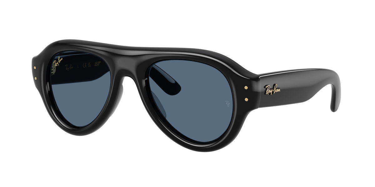 Ray-Ban RB4925 Black Sunglasses