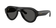 Ray-Ban RB4925 Black Sunglasses