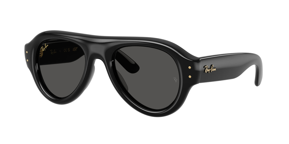 Ray-Ban RB4925 Black Sunglasses