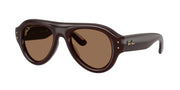 Ray-Ban RB4925 Transparent Dark Brown Sunglasses