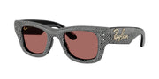 Ray-Ban RB4940BP Black Sunglasses