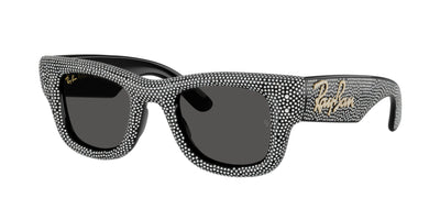 Ray-Ban RB4940BP Sunglasses