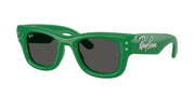 Ray-Ban RB4940B Green & Strass Sunglasses
