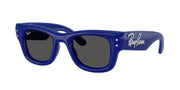 Ray-Ban RB4940B Blue & Strass Sunglasses