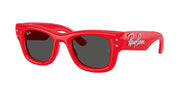 Ray-Ban RB4940B Red & Strass Sunglasses