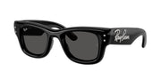 Ray-Ban RB4940B Black & Strass Sunglasses