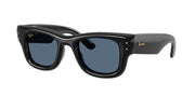Ray-Ban RB4940 Black Sunglasses