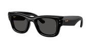 Ray-Ban RB4940 Black Sunglasses