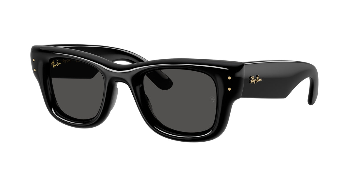 Ray-Ban RB4940 Black Sunglasses