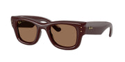 Ray-Ban RB4940 Dark Brown Sunglasses