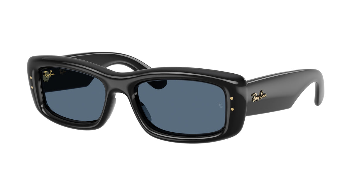 Ray-Ban RB4944 Black Sunglasses