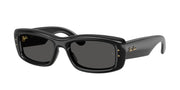Ray-Ban RB4944 Black Sunglasses