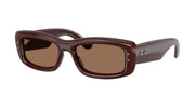 Ray-Ban RB4944 Transparent Dark Brown Sunglasses