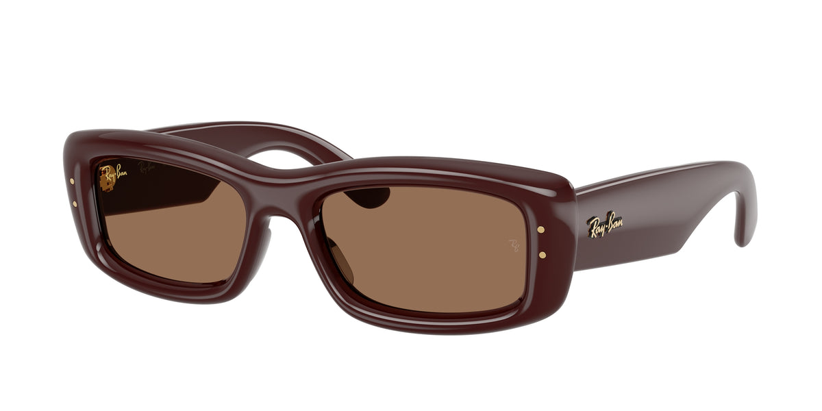 Ray-Ban RB4944 Transparent Dark Brown Sunglasses