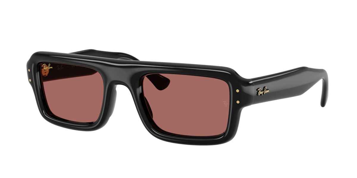 Ray-Ban RB4954 Black Sunglasses