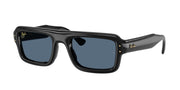 Ray-Ban RB4954 Black Sunglasses