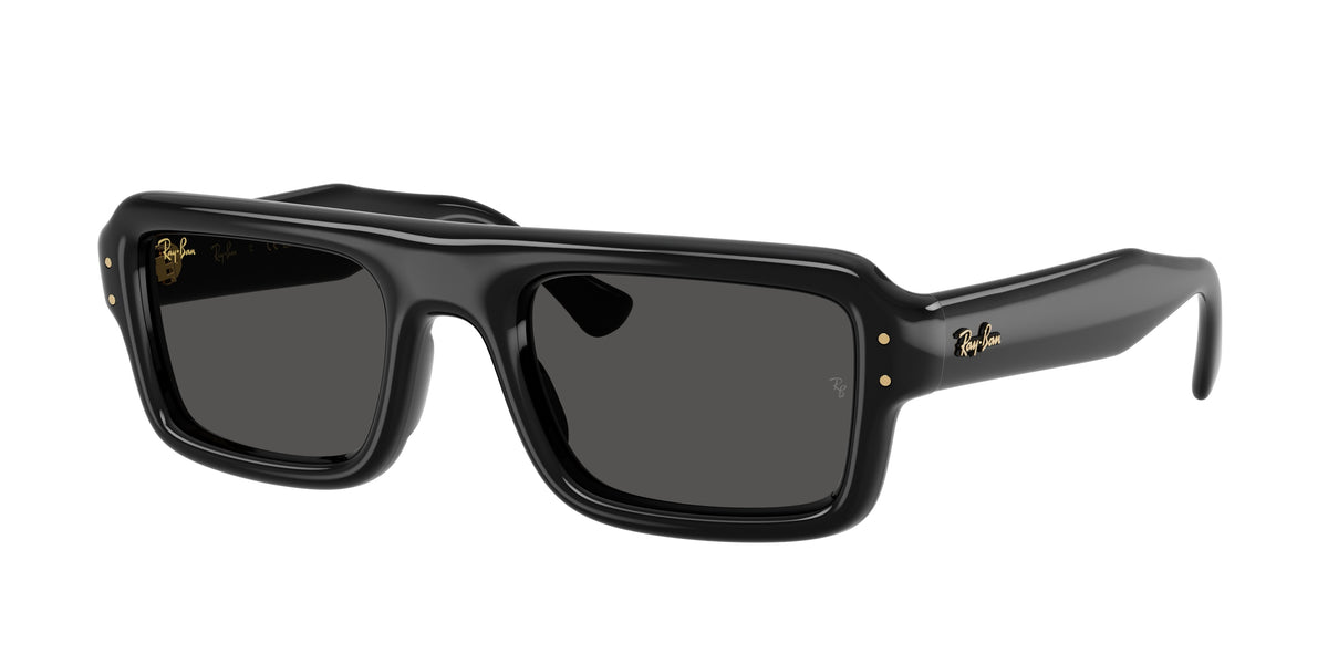 Ray-Ban RB4954 Black Sunglasses