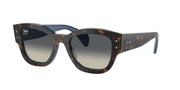 Ray-Ban RB7681S Havana Grey On Blue Sunglasses