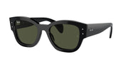 Ray-Ban RB7681S Black Sunglasses