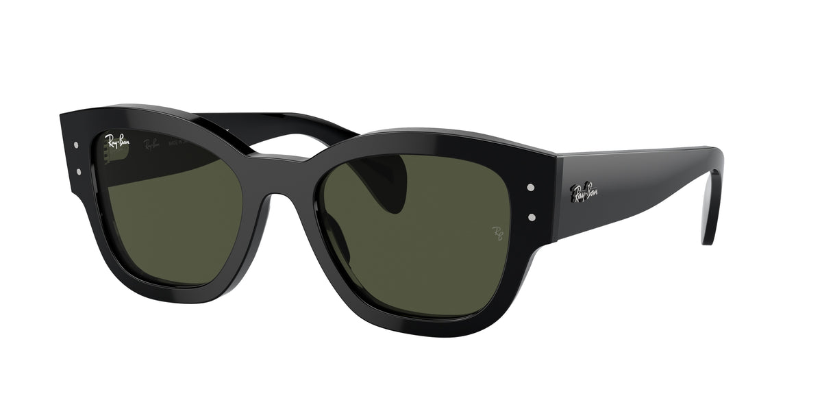 Ray-Ban RB7681S Black Sunglasses