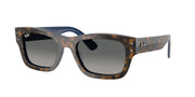 Ray-Ban RB7683S Havana Grey On Gradient Blue Sunglasses