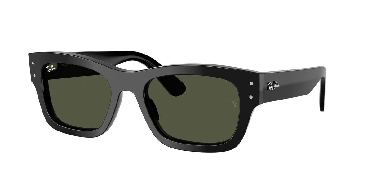 Ray-Ban RB7683S Black Sunglasses