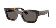 Ray-Ban RB7683S Havana Sunglasses