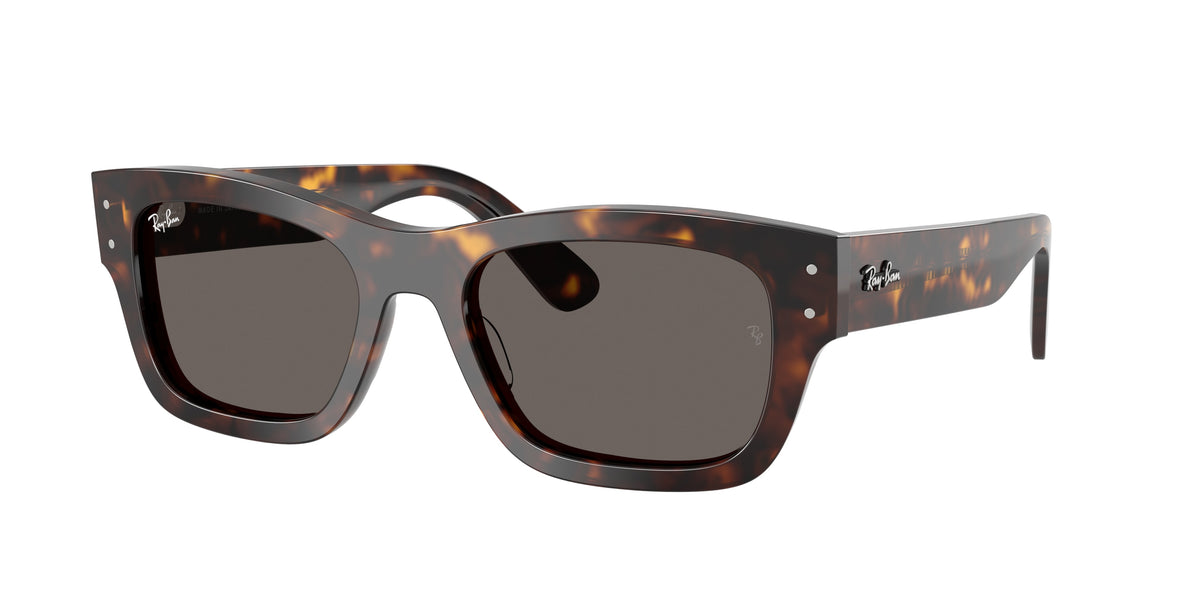 Ray-Ban RB7683S Havana Sunglasses