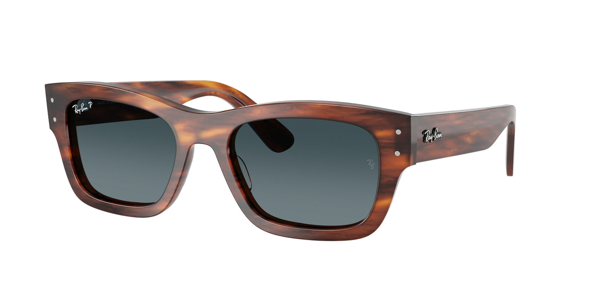 Ray-Ban RB7683S Striped Havana Sunglasses