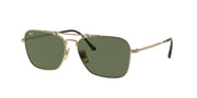 Ray-Ban RB8136 Gold Sunglasses