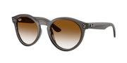 Ray-Ban RBR0505S Transparent Dark Grey Sunglasses
