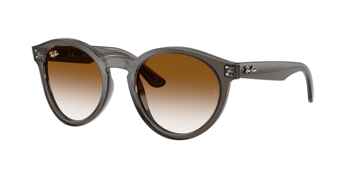 Ray-Ban RBR0505S Transparent Dark Grey Sunglasses