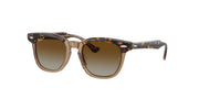 Ray-Ban RJ9098S Havana On Transparent Sunglasses Kids