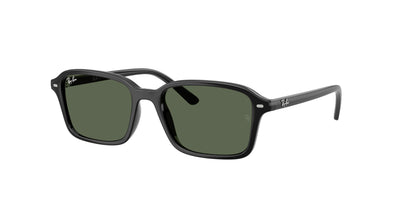 Ray-Ban RJ9131S Sunglasses