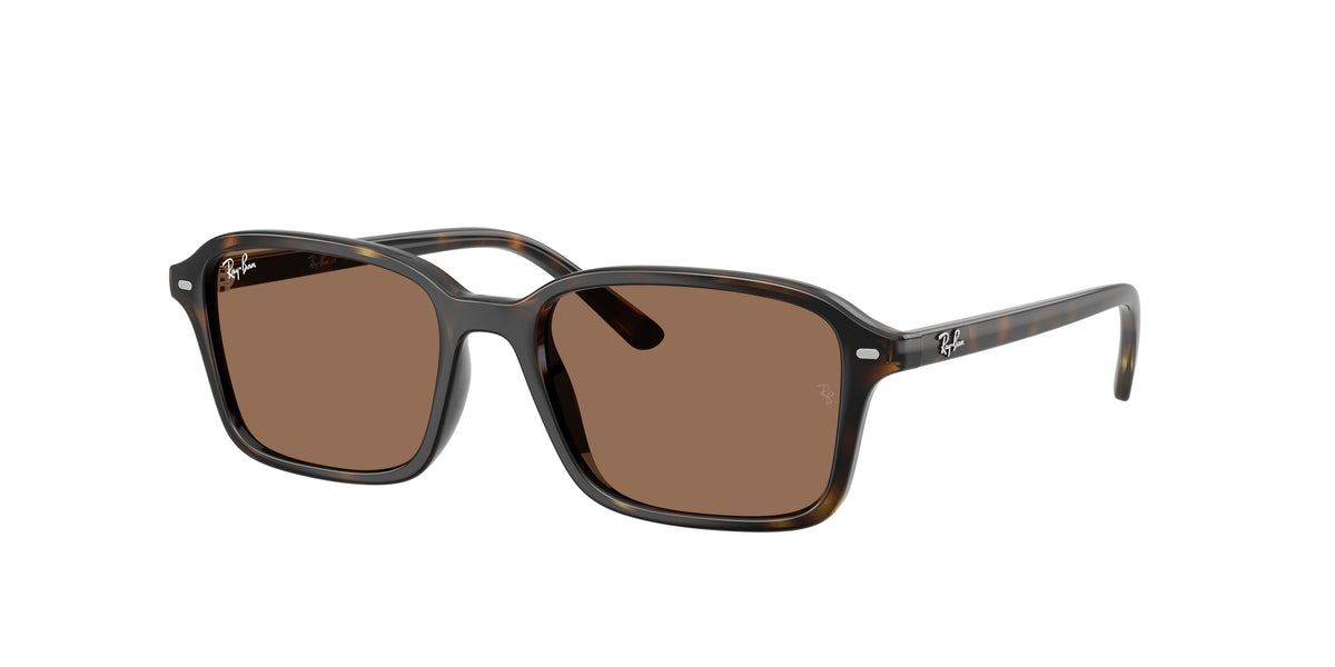 Ray-Ban RJ9131S Havana Sunglasses Kids