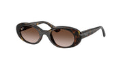 Ray-Ban RJ9141S Havana Sunglasses Kids