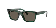 Ray-Ban RJ9196S Transparent Green Sunglasses Kids