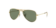 Ray-Ban RJ9506S Arista Gold Sunglasses Kids