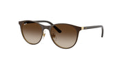 Ray-Ban RJ9552S Matte Brown On Arista Gold Sunglasses Kids