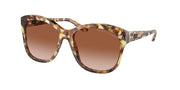 Ralph Lauren RL8190Q Havana Sunglasses
