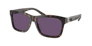 Ralph Lauren RL8203QU Havana Sunglasses