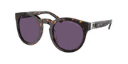 Ralph Lauren RL8204QU Havana Sunglasses