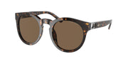 Ralph Lauren RL8204QU Shiny Dark Havana Sunglasses