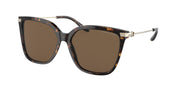 Ralph Lauren RL8209 Shiny Dark Havana Sunglasses